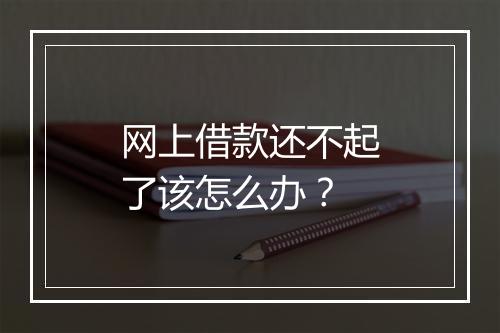 网上借款还不起了该怎么办？