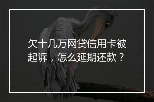 欠十几万网贷信用卡被起诉，怎么延期还款？