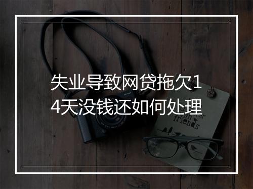 失业导致网贷拖欠14天没钱还如何处理