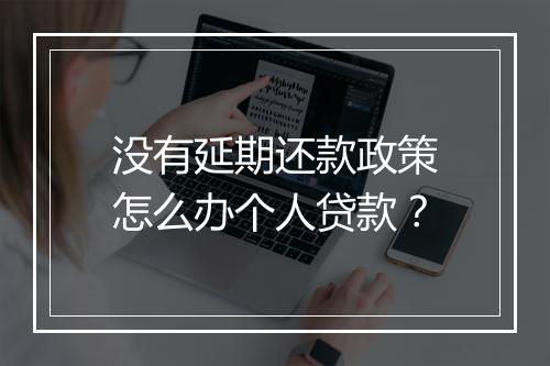 没有延期还款政策怎么办个人贷款？