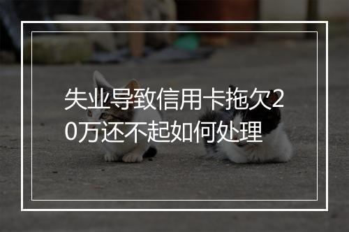 失业导致信用卡拖欠20万还不起如何处理