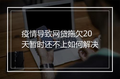 疫情导致网贷拖欠20天暂时还不上如何解决