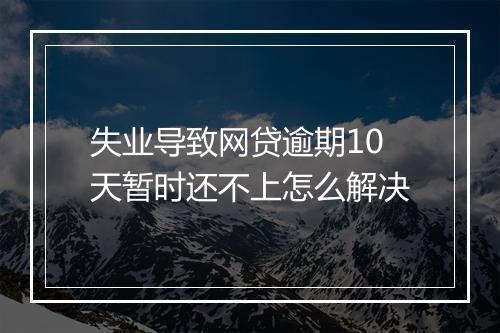 失业导致网贷逾期10天暂时还不上怎么解决