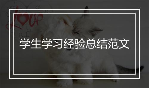 学生学习经验总结范文