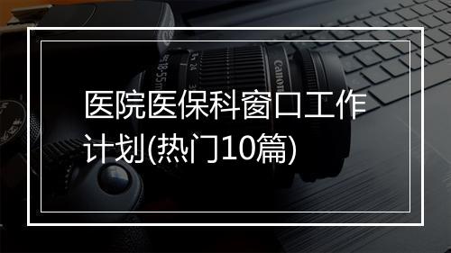 医院医保科窗口工作计划(热门10篇)