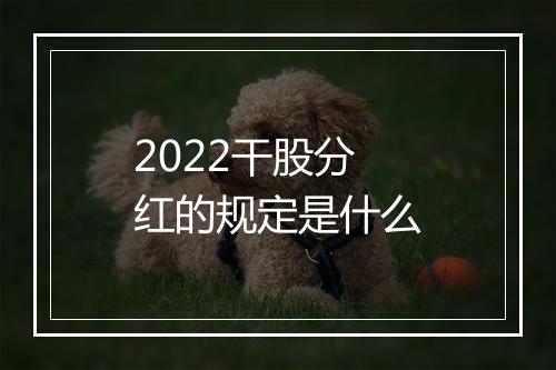 2022干股分红的规定是什么