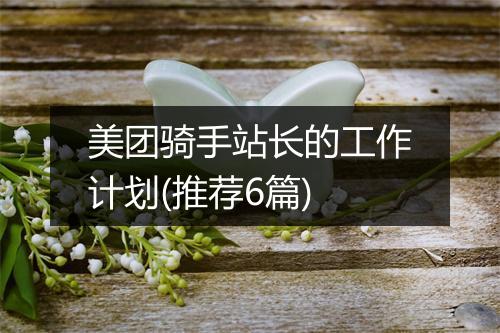 美团骑手站长的工作计划(推荐6篇)