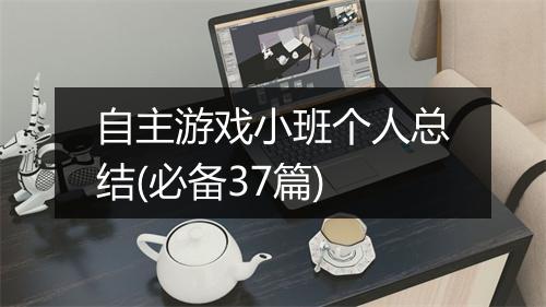 自主游戏小班个人总结(必备37篇)
