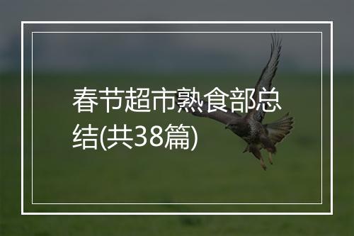 春节超市熟食部总结(共38篇)
