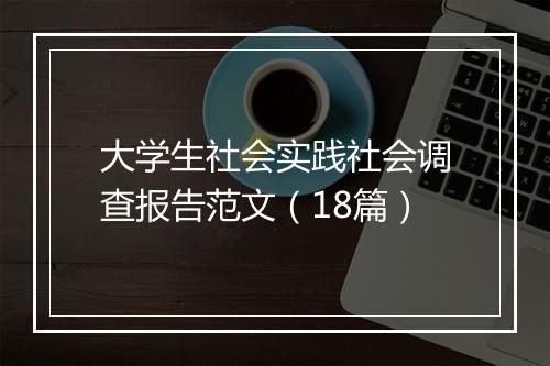 大学生社会实践社会调查报告范文（18篇）