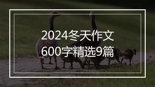 2024冬天作文600字精选9篇