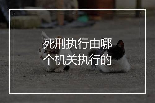 死刑执行由哪个机关执行的