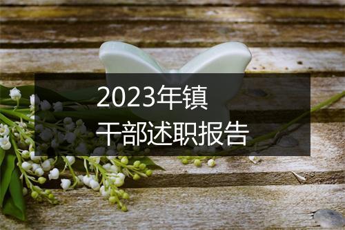 2023年镇干部述职报告