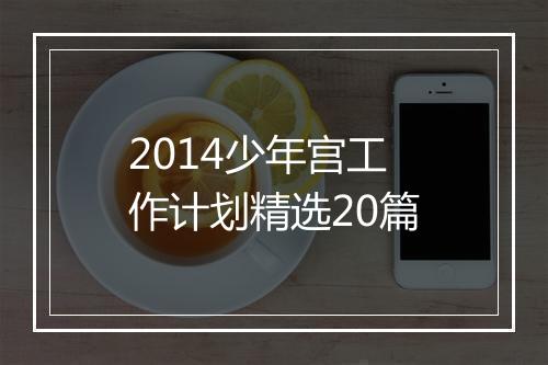2014少年宫工作计划精选20篇