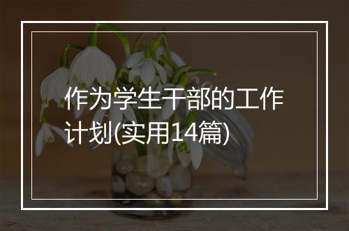 作为学生干部的工作计划(实用14篇)