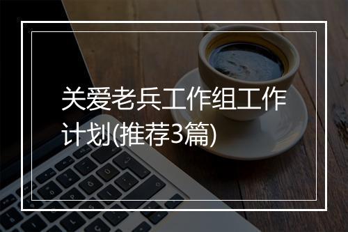 关爱老兵工作组工作计划(推荐3篇)
