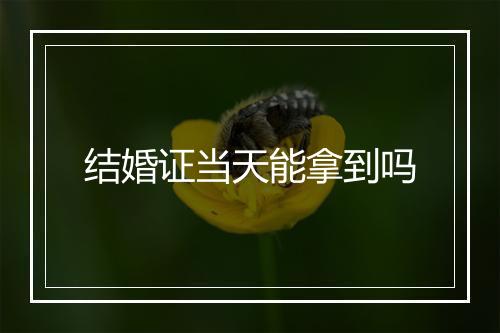 结婚证当天能拿到吗