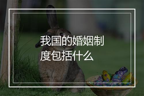 我国的婚姻制度包括什么
