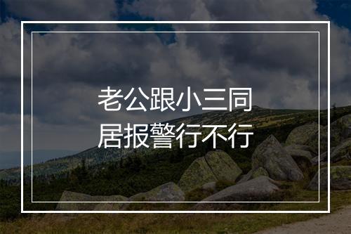 老公跟小三同居报警行不行