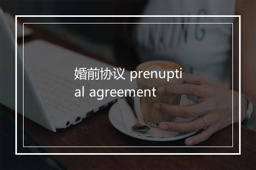 婚前协议 prenuptial agreement