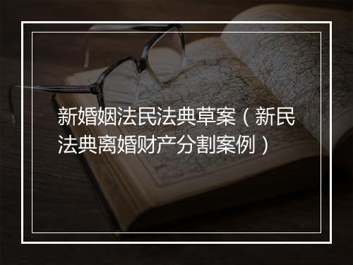 新婚姻法民法典草案（新民法典离婚财产分割案例）