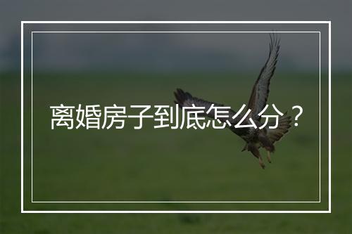 离婚房子到底怎么分？