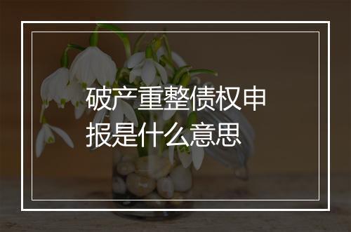 破产重整债权申报是什么意思