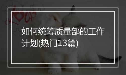 如何统筹质量部的工作计划(热门13篇)