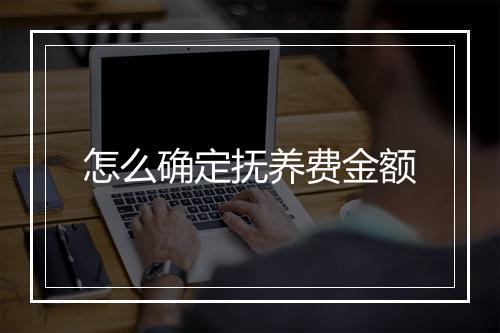 怎么确定抚养费金额