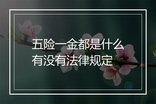 五险一金都是什么有没有法律规定