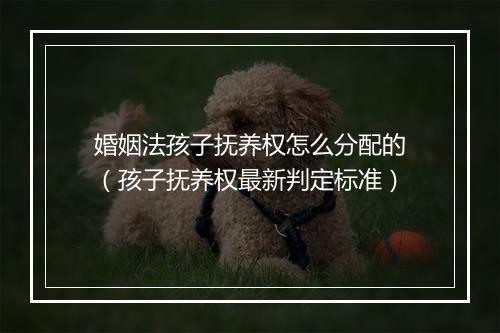 婚姻法孩子抚养权怎么分配的（孩子抚养权最新判定标准）