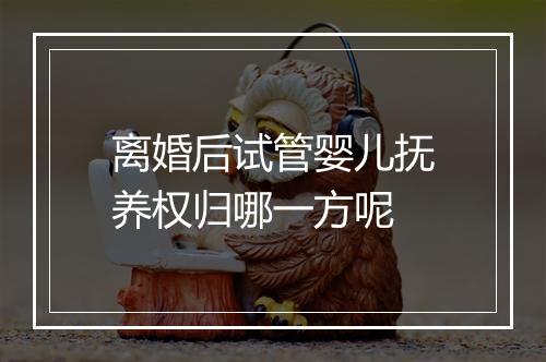 离婚后试管婴儿抚养权归哪一方呢