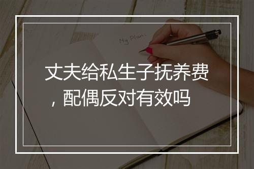 丈夫给私生子抚养费，配偶反对有效吗