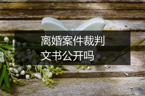 离婚案件裁判文书公开吗