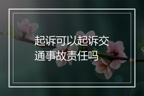 起诉可以起诉交通事故责任吗