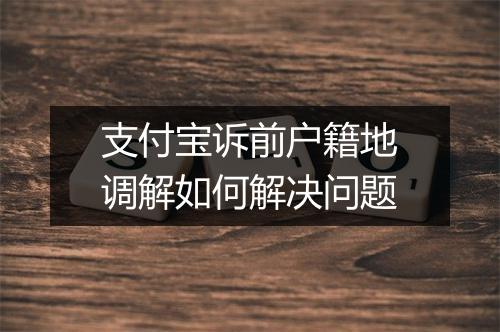 支付宝诉前户籍地调解如何解决问题