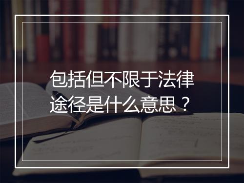 包括但不限于法律途径是什么意思？