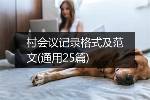村会议记录格式及范文(通用25篇)