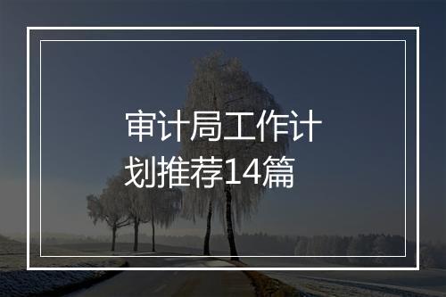 审计局工作计划推荐14篇