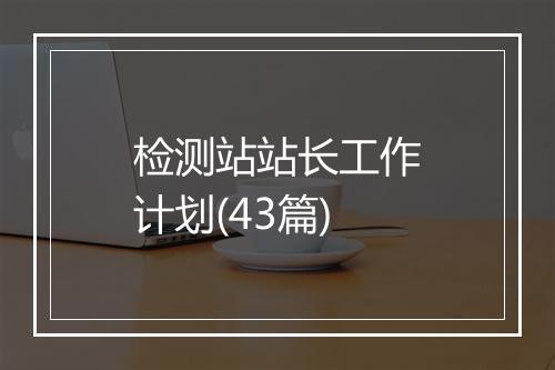 检测站站长工作计划(43篇)