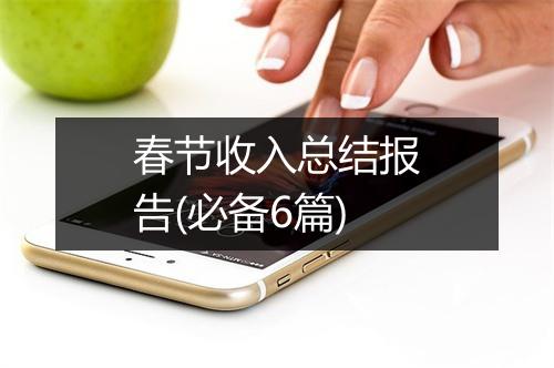 春节收入总结报告(必备6篇)