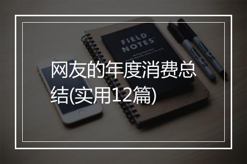 网友的年度消费总结(实用12篇)