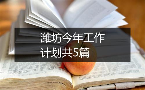 潍坊今年工作计划共5篇