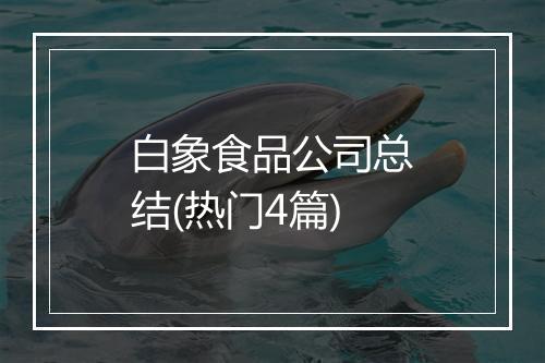 白象食品公司总结(热门4篇)