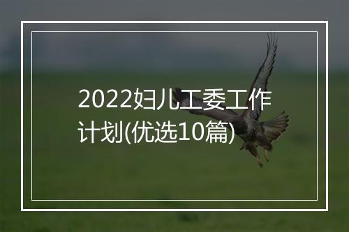 2022妇儿工委工作计划(优选10篇)