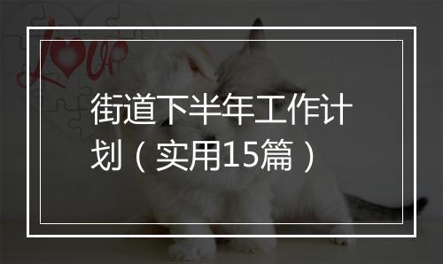街道下半年工作计划（实用15篇）