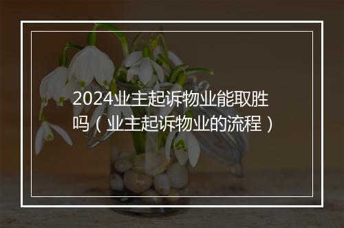 2024业主起诉物业能取胜吗（业主起诉物业的流程）