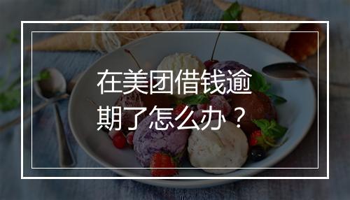 在美团借钱逾期了怎么办？