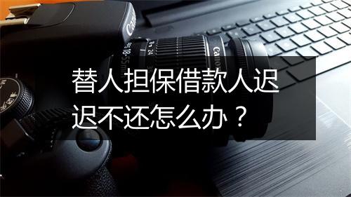 替人担保借款人迟迟不还怎么办？