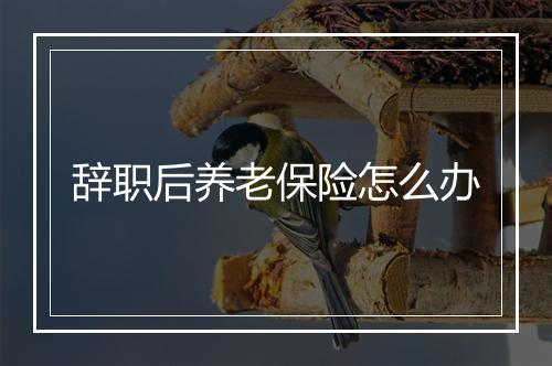 辞职后养老保险怎么办